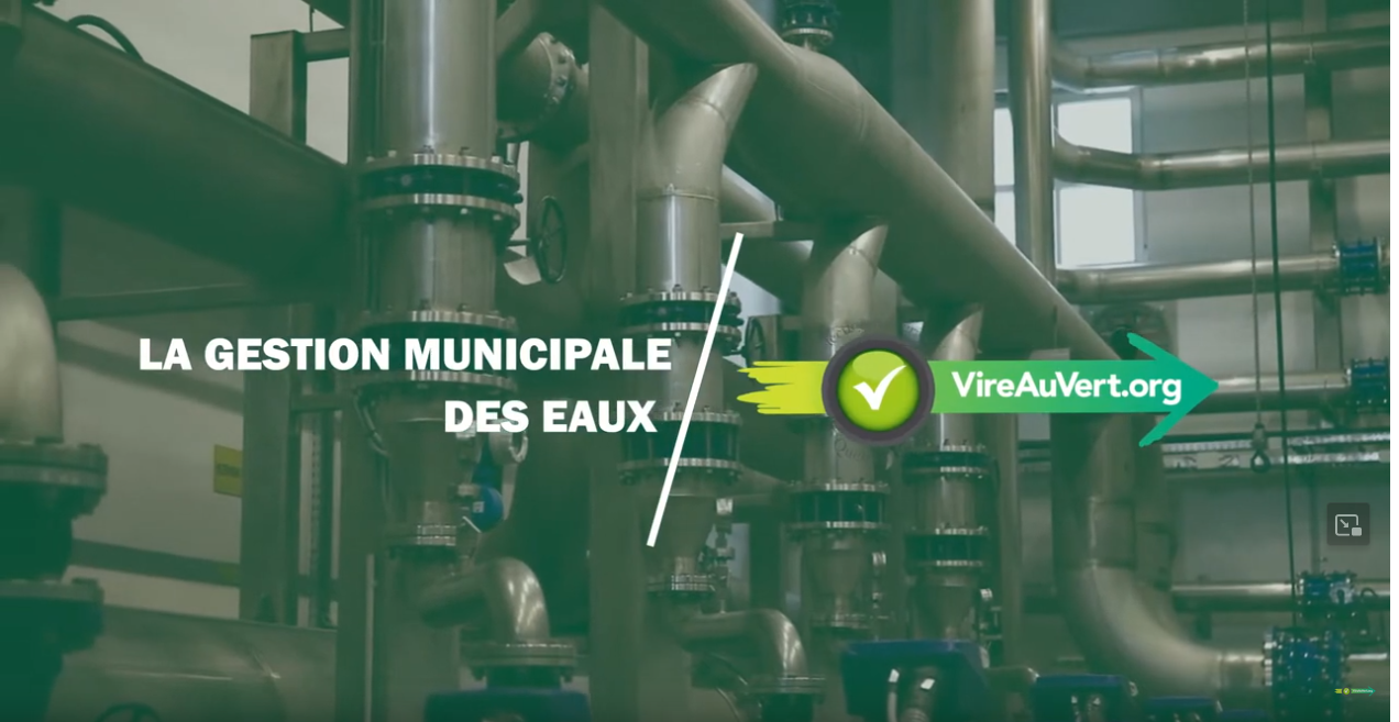 Vireauvert_BSN